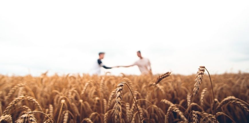 two people shaking hands on a wheat farm