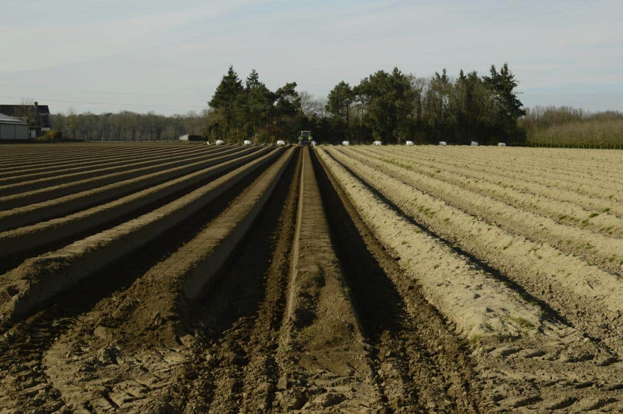 How to Speed Up Your Compost Windrow | Turning Guide