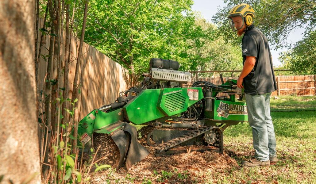buy vs hire a stump grinder