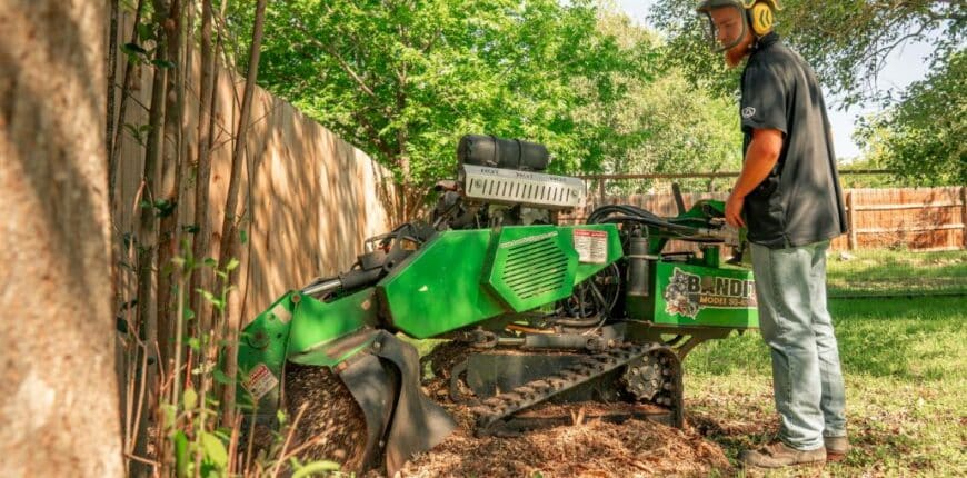 buy vs hire a stump grinder