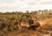 Land clearing equipment skid steer fitted with an EZ Machinery flail mulcher clearing scrub on Australian acreage