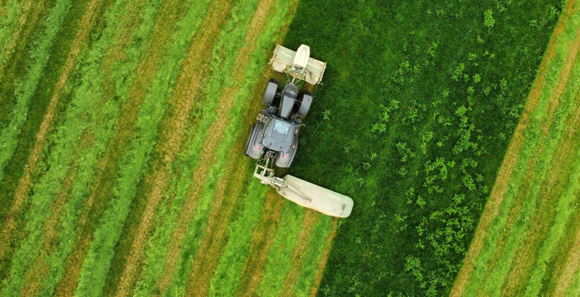 Aerial view of a tractor slashing a green paddock, leaving thick windrows of cut grass trailing behind