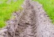 Tractor Wheel Tracks Soil Compaction